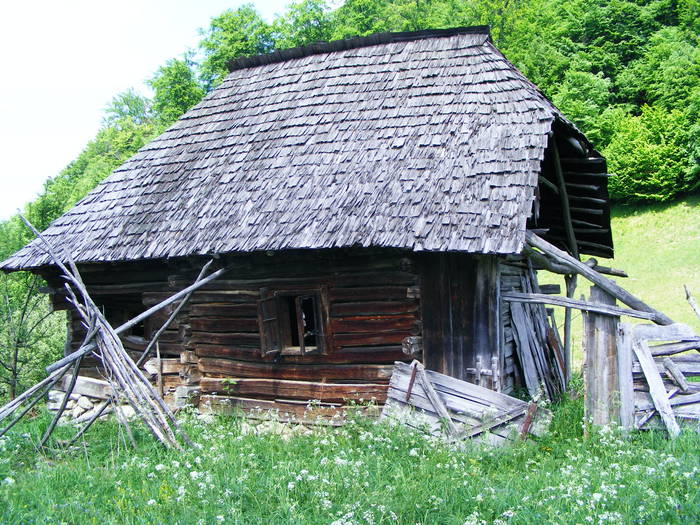 DSCF1076