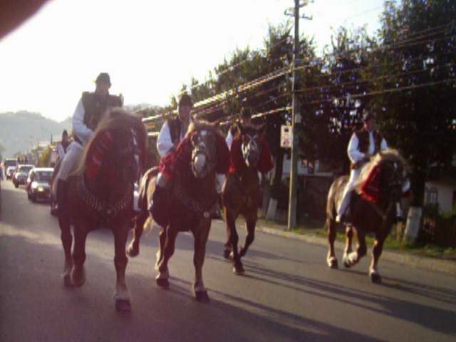 Picture 220 - nunta cu cai in Bucovina 2009 in Campulung moldovensc Suceava