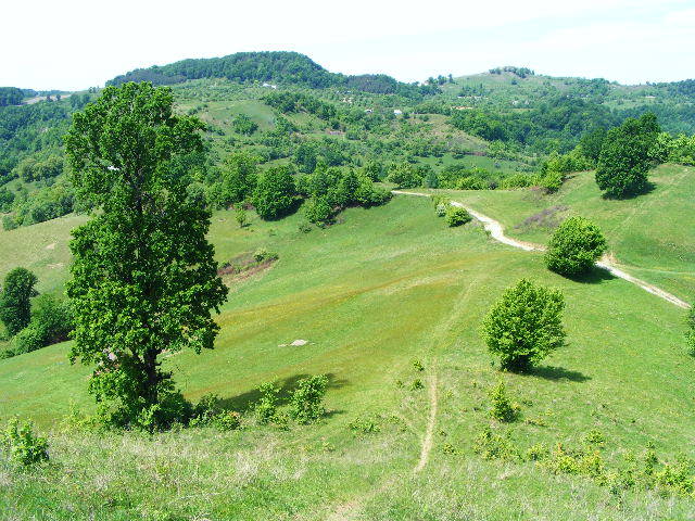 DSCF0544
