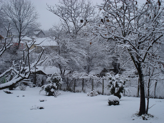 DSC06505 - 2010 REVELION SIBIU