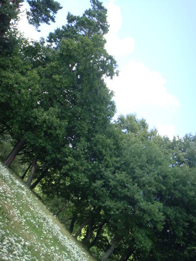 228 - vacanta 23  28 iulie 2009