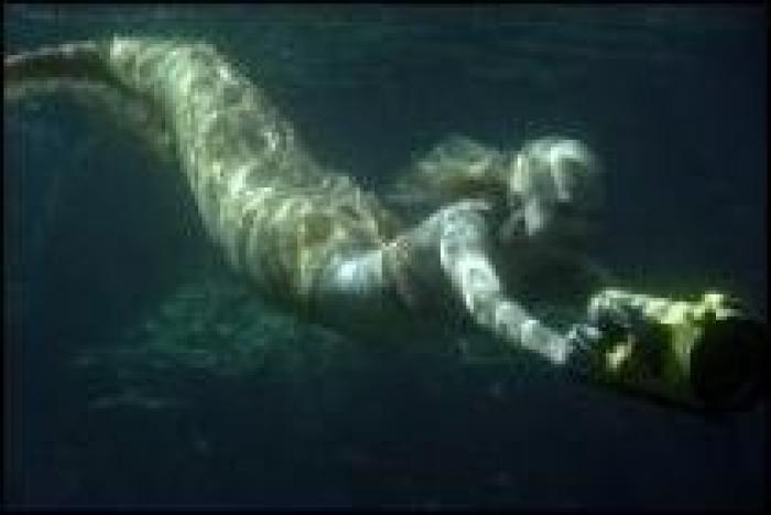 JEZRUTODWTIEXPDOTXR[1] - h2o