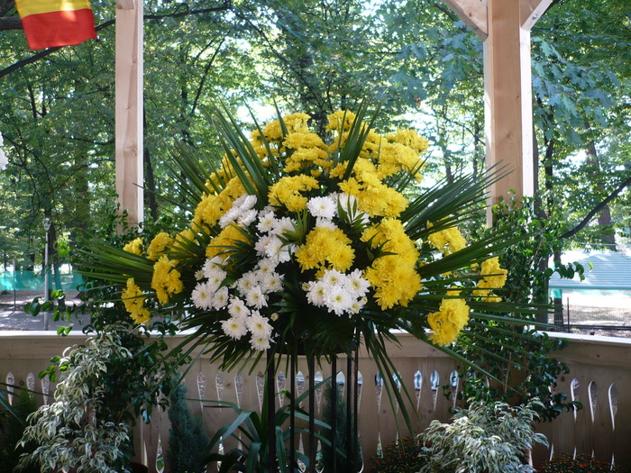 29-09-2009 045 - Expo-Flora 2009 Baia Mare