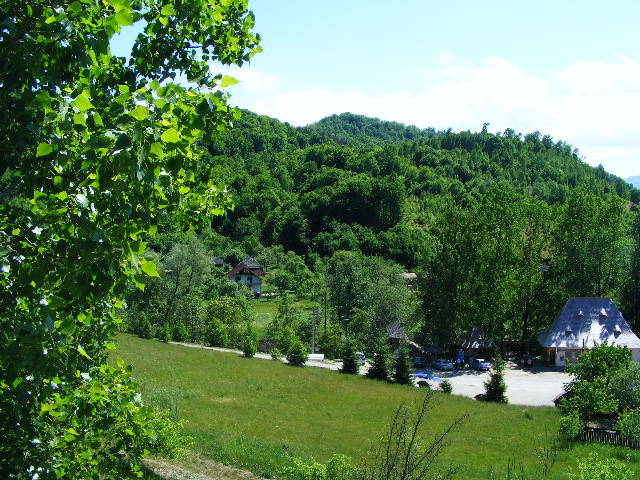 DSCF0802