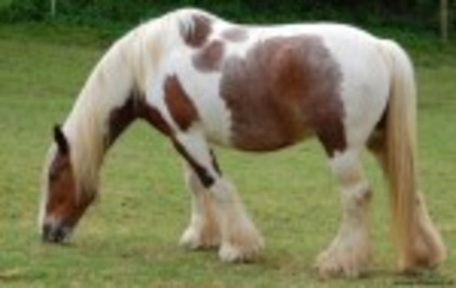 373724d7_0020000821731_00_150