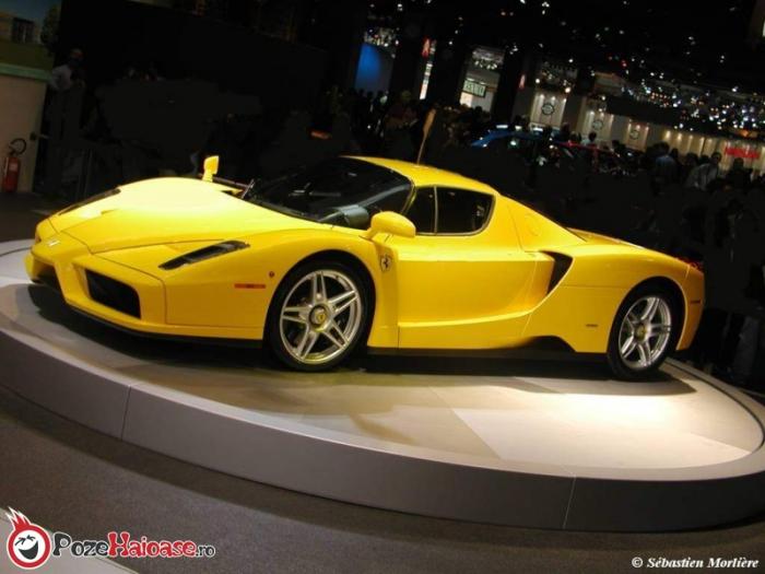 ferrari_enzo - poze desktop