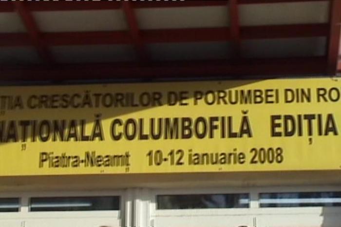 Image_1215-0931(CVBS)[1]