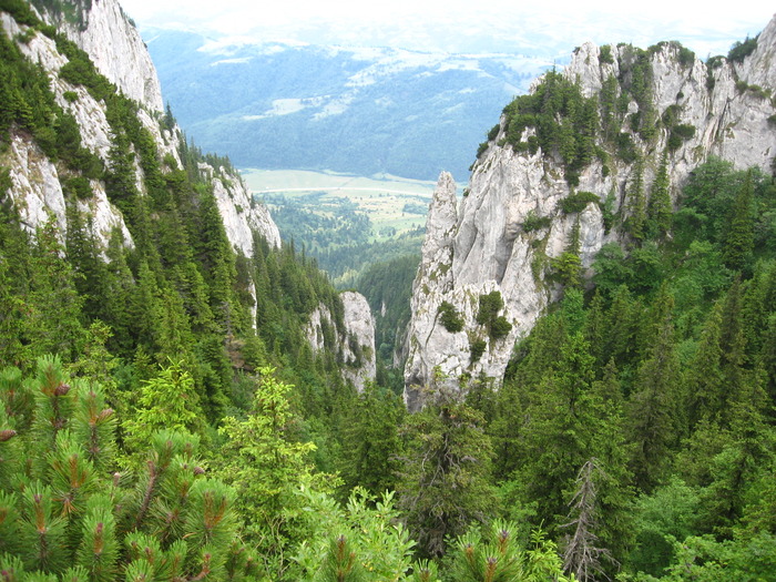  - PIATRA CRAIULUI