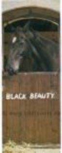 black beauty - BLACK BEAUTY