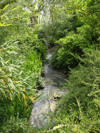 196 - Balchik 20 aprilie 2009