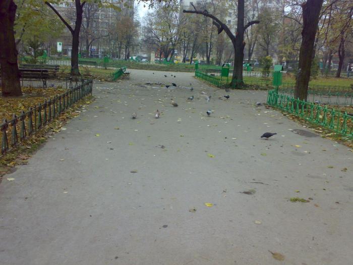 021220081641 - 18c Bucuresti