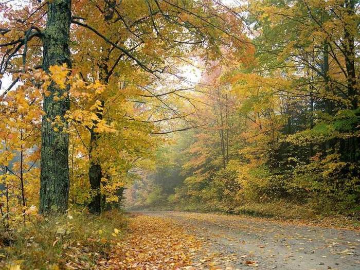 Crisp Autumn Afternoon, Vermont