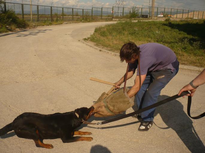 TYRA V HAUSE ONUL(CORA); NU MA LAS DE LOC.

