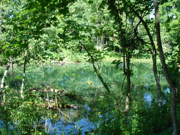 DSC03655 - Parcul Plitvice din Croatia