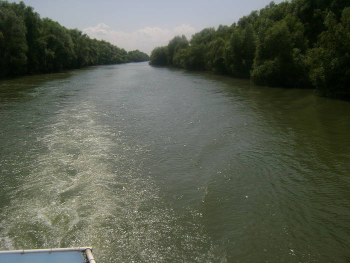 excursie delta dunarii 5062009 081 - EXCURSIE  in DELTA