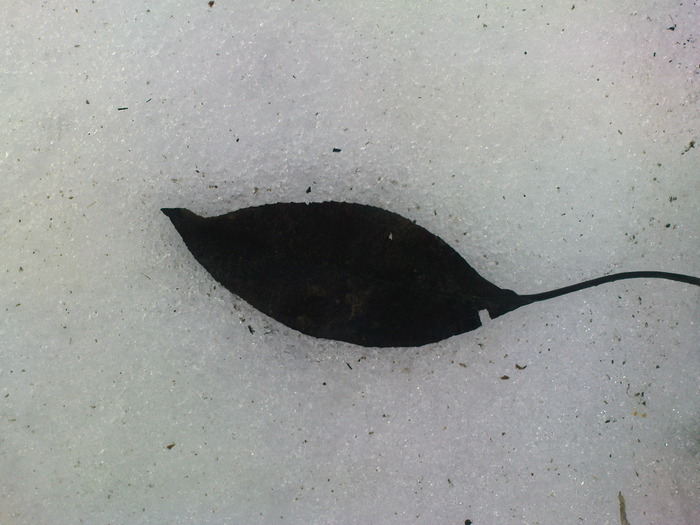 DSC00644