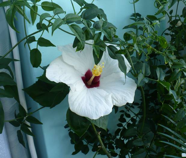 P1140043
