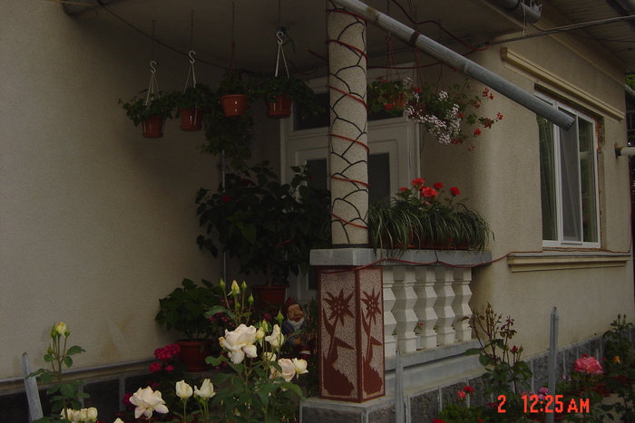 terasa cu flori