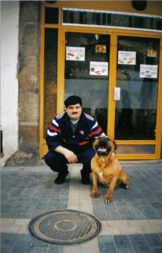 dog de bordeaux; campioana spania februarie 2003
