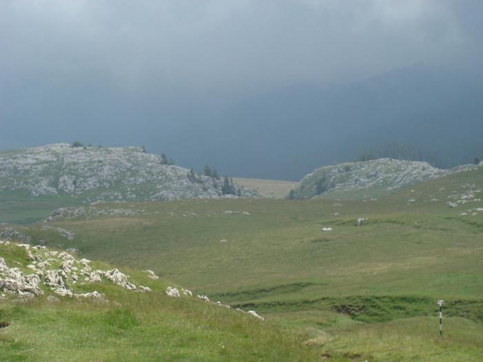 DSC01960 - Concediu 2008