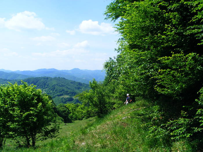 DSCF1092