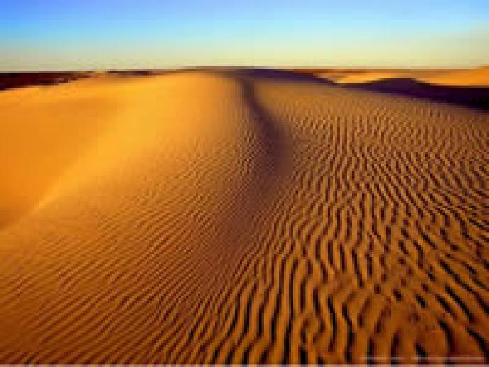 89 - poze din desert