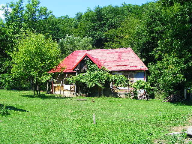 DSCF2436