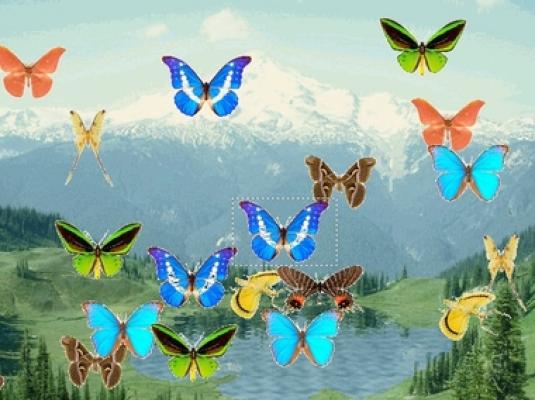 18787-animated-butterfly-pond-screensaver - Am si Fluturasi