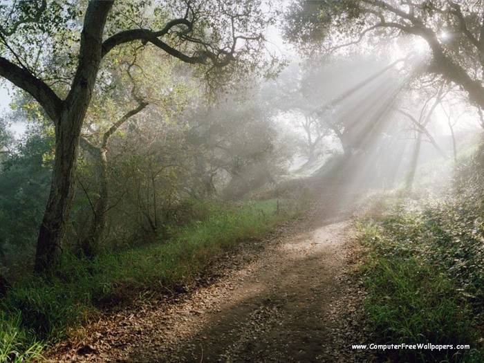 Wallpapers - Nature 9 - Douglas_Family_Preserve,_Santa_Barbara,_California - Very Beautiful Nature Scenes