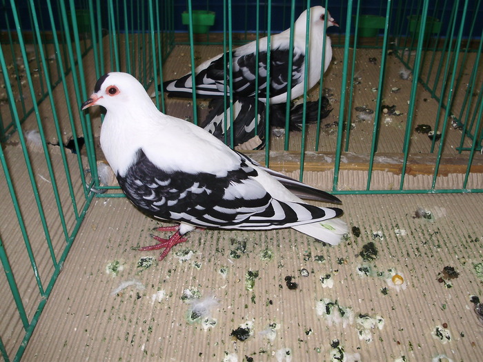 9440 rb 0 - 1507 partea 4