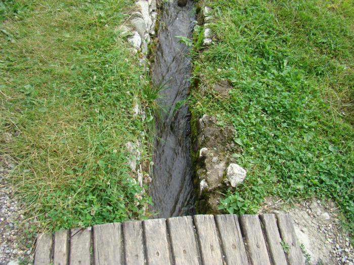 DSC02079 - Concediu 2008