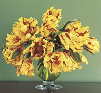 6%20spring%20flowers%20and%20centerpieces - Flori