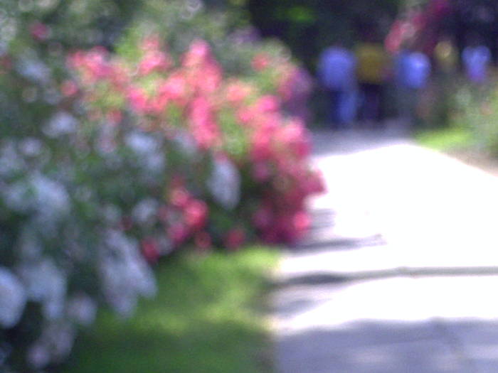 PICT0151 - EXCURSIE  in DELTA