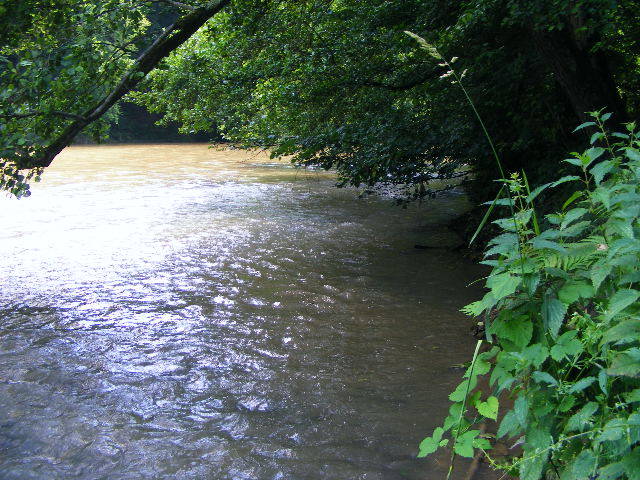 DSCF2616