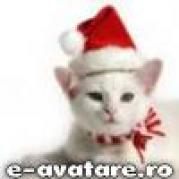 avatare_gratuite_732065170475ec3d14a19b6.21948719