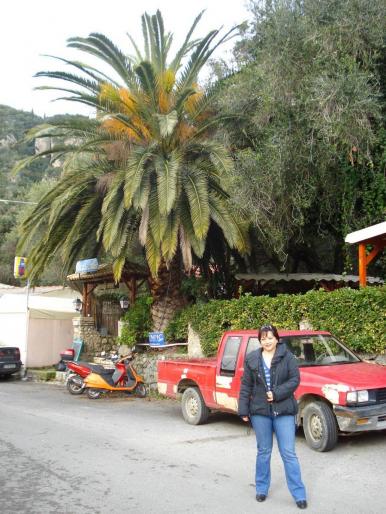 DSC07839 - 2008 REVELION CORFU