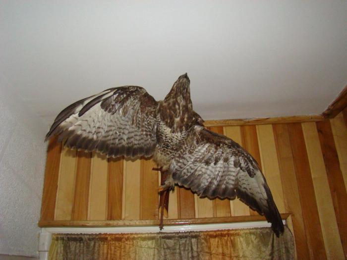 DSC01990 - Concediu 2008