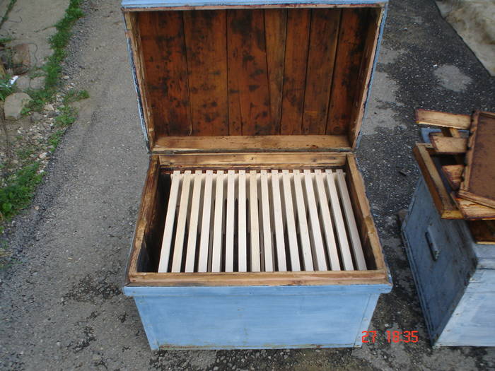 DSC05508 - albine alte noutati