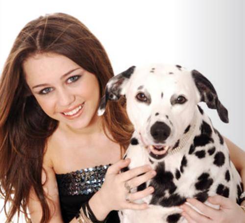 1189968684_f[1] - pozele mele preferate cu miley