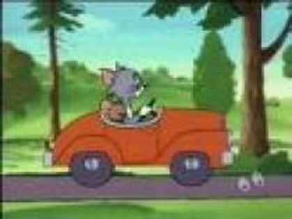 WREIOFLUUXLPFRDBLTA - Tom and Jerry