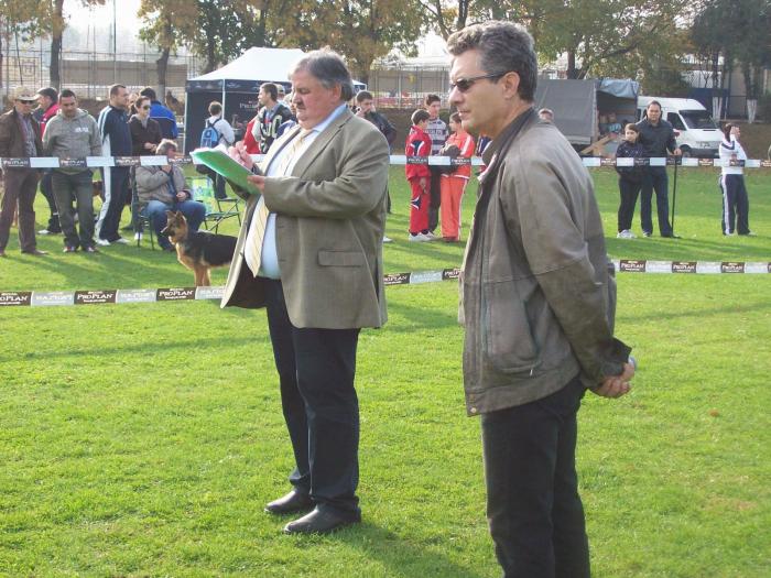 Arbitru si Bogdan N.