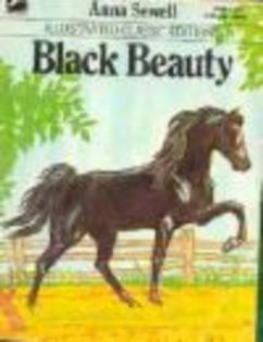 black beauty - BLACK BEAUTY