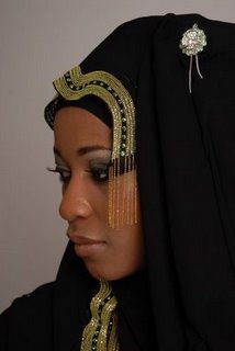 beautiful hijabi (139)
