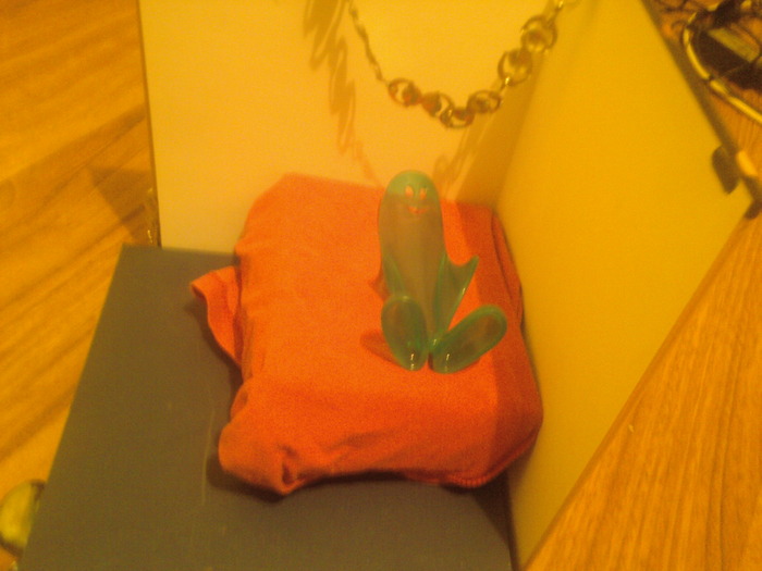 Fotografii-0868 - Vedete Americane