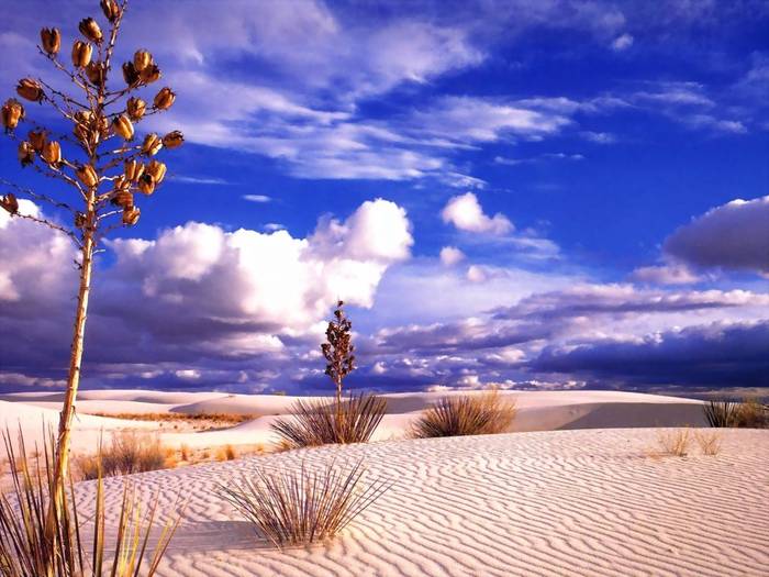desert-landscape-wallpaper - peisaje