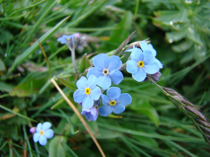 DSC03807 - Concediu 2009