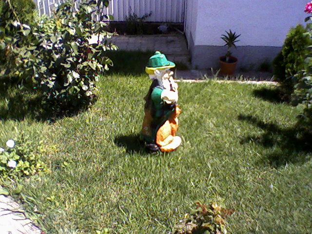 Fotografii-0013 - dragele mele flori 2009