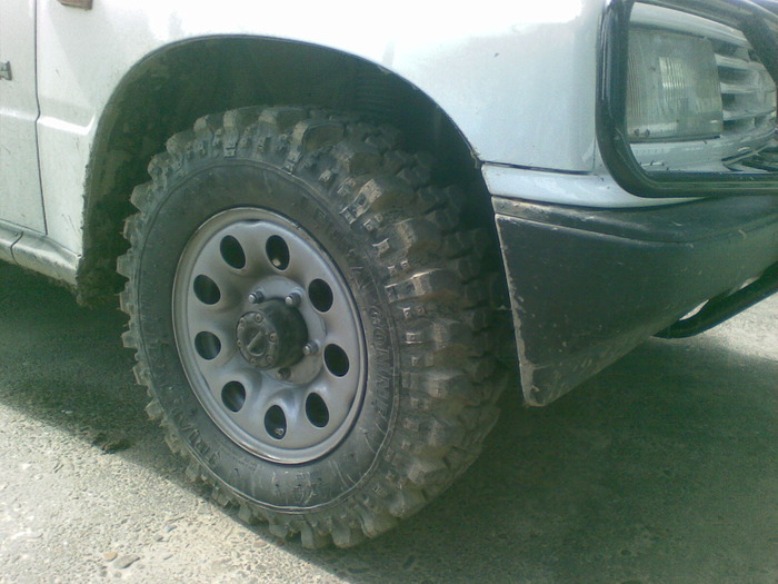09092009 - padure