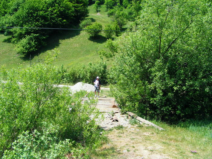 DSCF0991