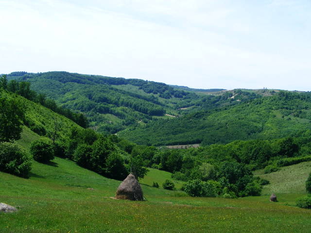 DSCF0540